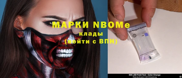 МДПВ Вяземский